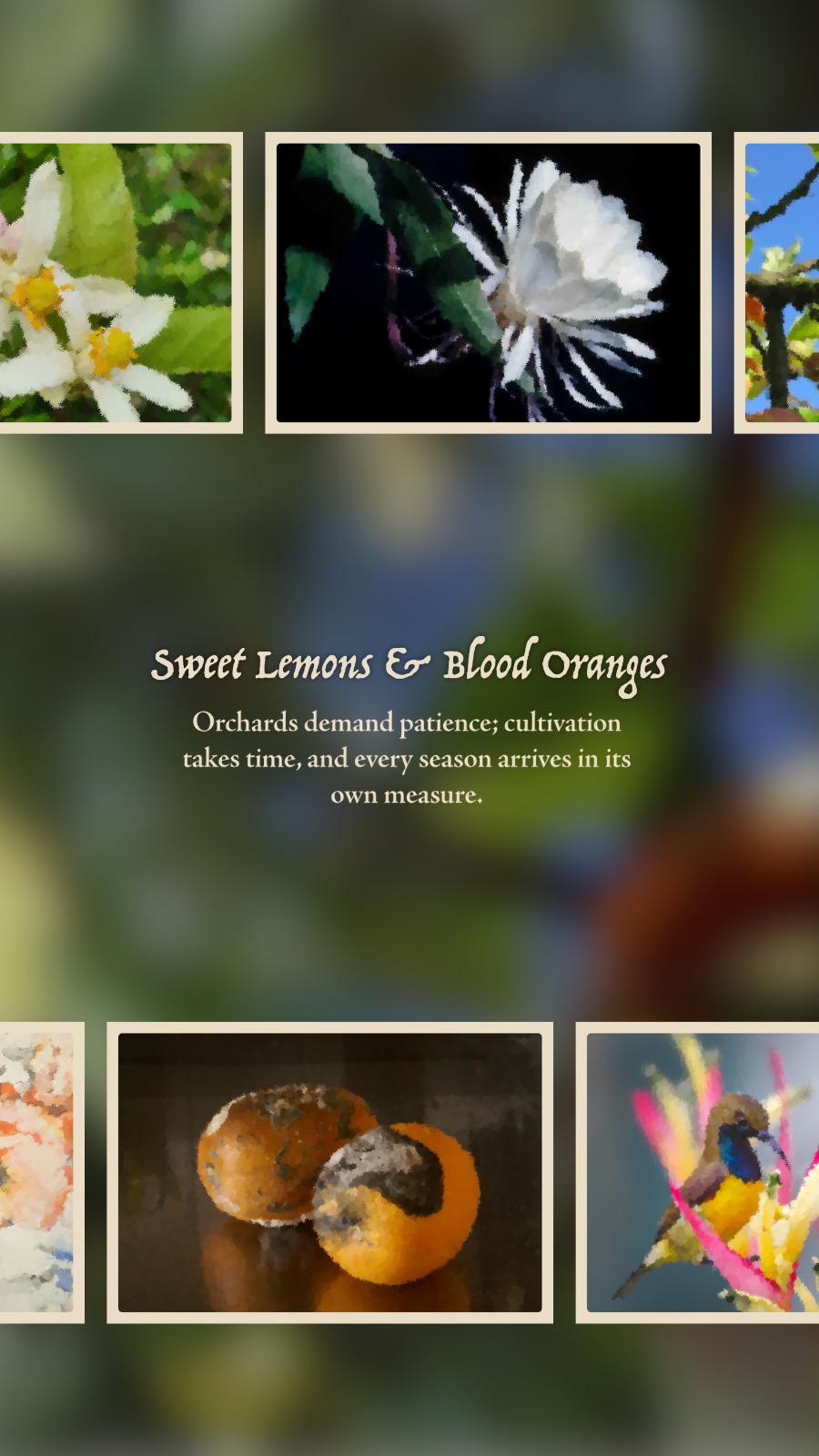 Slideshow Image 2
